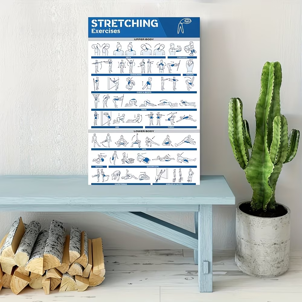 Modern Labeled Full-Body Stret - Interior Design Room ulasan dan harga